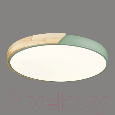 Потолочный светильник Velante 445-447-01