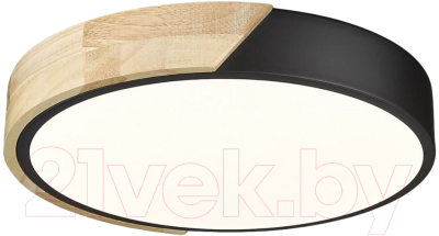 Потолочный светильник Velante 445-607-01 - фото