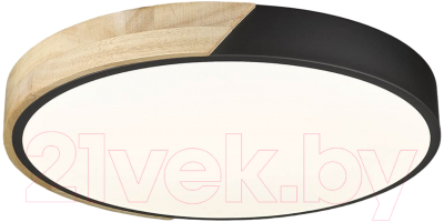 Потолочный светильник Velante 445-647-01 - фото