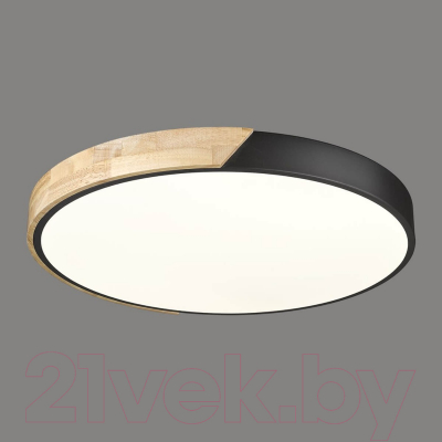 Потолочный светильник Velante 445-647-01