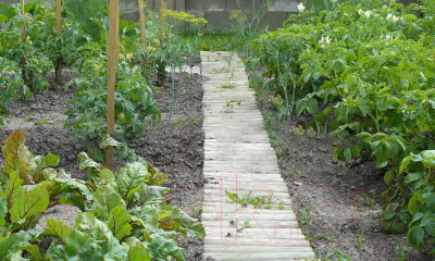 Изгородь декоративная Массив-Древ Рольборд D60x400x2000