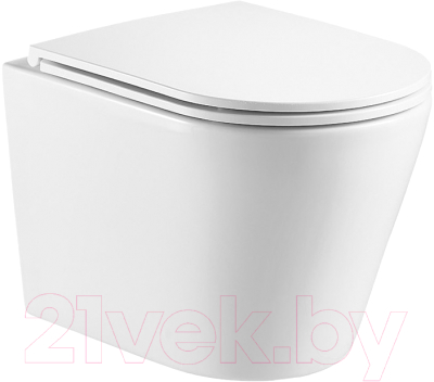 Унитаз подвесной WeltWasser WW Salzbach 043 GL-WT - фото