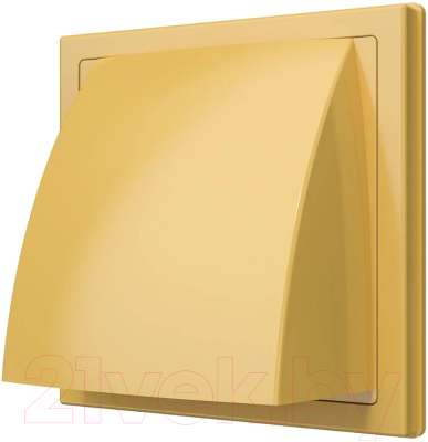 Решетка вентиляционная ERA D100 1515K10ФВ - фото