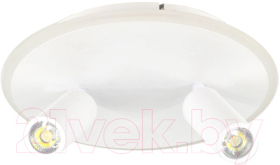 Спот ESCADA 20046LED 20046SMA/02LED WH - фото