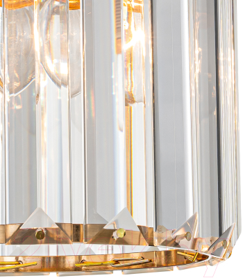 Потолочный светильник ESCADA Adorn 10192/1S