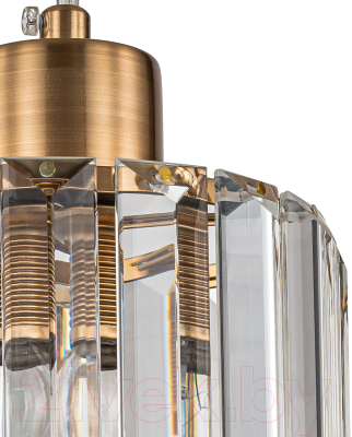 Потолочный светильник ESCADA Adorn 10192/1S