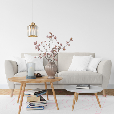 Потолочный светильник ESCADA Adorn 10192/1S