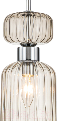 Потолочный светильник ESCADA Gloss 1141/1S