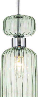 Потолочный светильник ESCADA Gloss 1141/1S