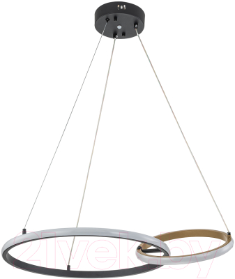 Потолочный светильник ESCADA Relation 10230/2LED - фото