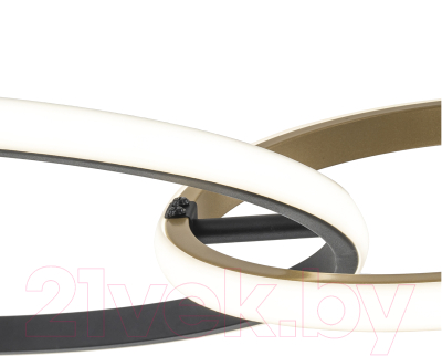 Потолочный светильник ESCADA Relation 10230/2LED