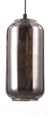 Потолочный светильник ESCADA Rise 10177/1S