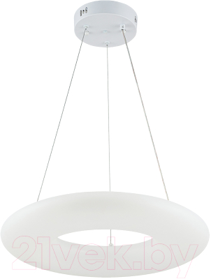 Потолочный светильник ESCADA Soft 10258/1LED - фото