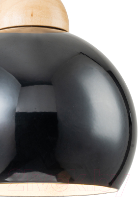 Потолочный светильник ESCADA Solo 10178/1S