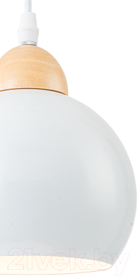 Потолочный светильник ESCADA Solo 10178/1S