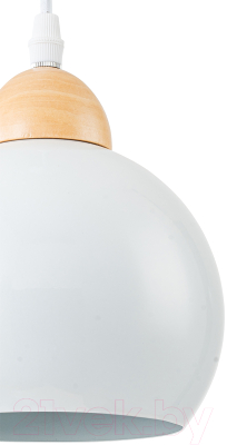 Потолочный светильник ESCADA Solo 10178/1S