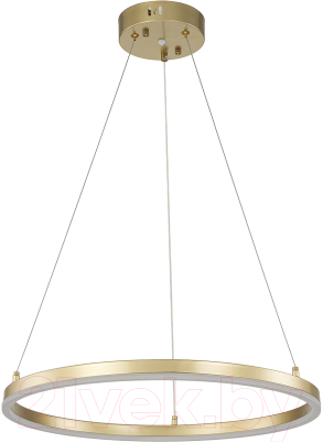 Потолочный светильник ESCADA Void 10254/1LED - фото