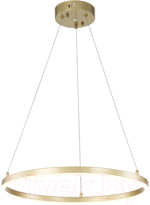 Потолочный светильник ESCADA Void 10254/1LED