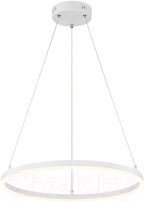 Потолочный светильник ESCADA Void 10254/1LED