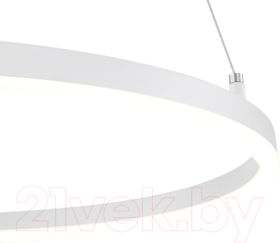 Потолочный светильник ESCADA Void 10254/1LED