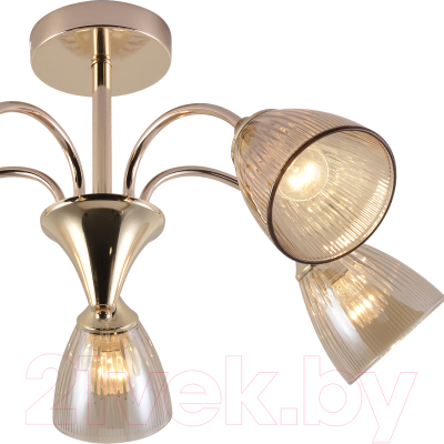 Люстра ESCADA Amelia 1129/5P