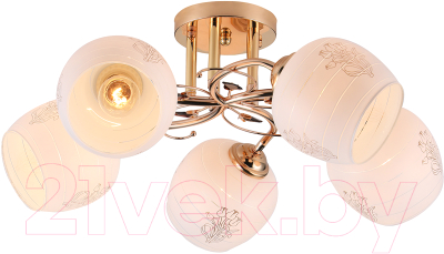 Люстра ESCADA Anemone 1121/5PL