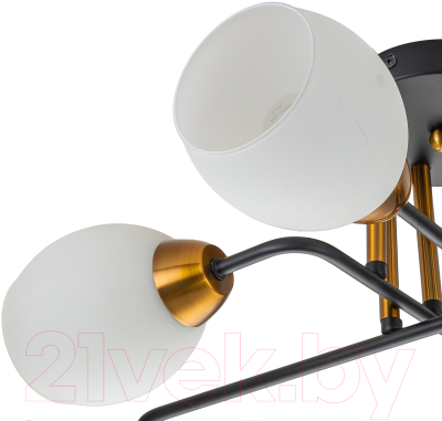 Люстра ESCADA Hope 1132/6P