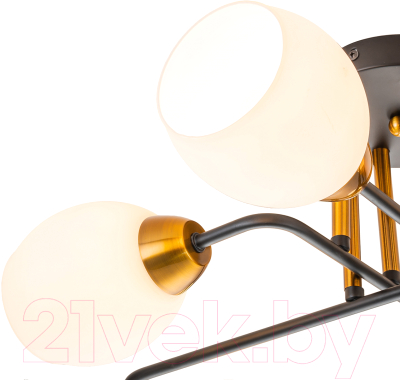 Люстра ESCADA Hope 1132/6P