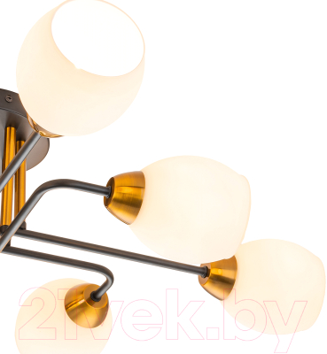 Люстра ESCADA Hope 1132/8P