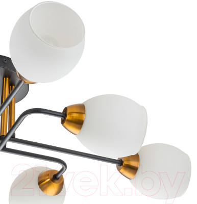 Люстра ESCADA Hope 1132/8P