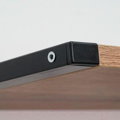 Вешалка для одежды ЗМИ Торонто 22Д с полкой / ВСПТ22Д