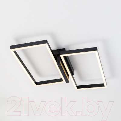 Потолочный светильник ESCADA Scales 10209/2LED