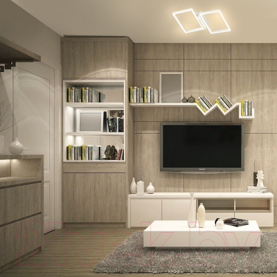 Потолочный светильник ESCADA Scales 10209/2LED