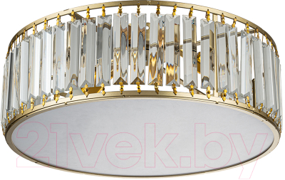 Потолочный светильник ESCADA Unona 2116/3 - фото