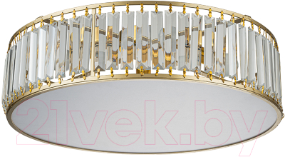 Потолочный светильник ESCADA Unona 2116/4 - фото