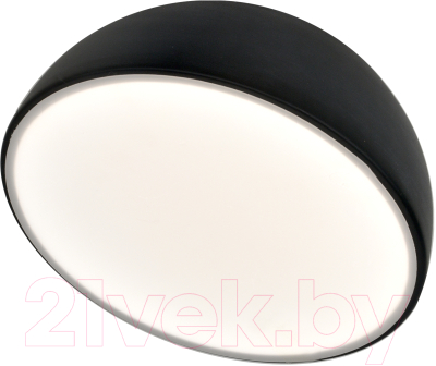 Потолочный светильник ESCADA 20025LED 20025SMA/01LED BK - фото
