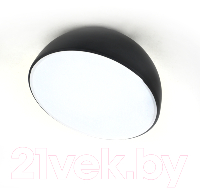 Потолочный светильник ESCADA 20025LED 20025SMA/01LED BK