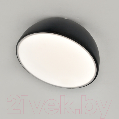 Потолочный светильник ESCADA 20025LED 20025SMA/01LED BK