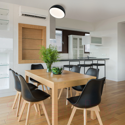 Потолочный светильник ESCADA 20025LED 20025SMA/01LED BK