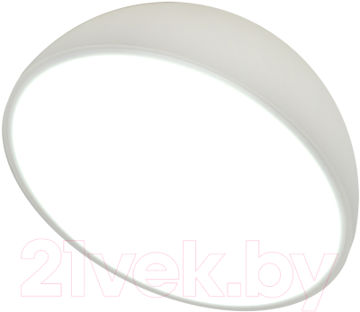 Потолочный светильник ESCADA 20025LED 20025SMA/01LED WH - фото