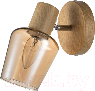 Спот ESCADA Wood 691/1A - фото