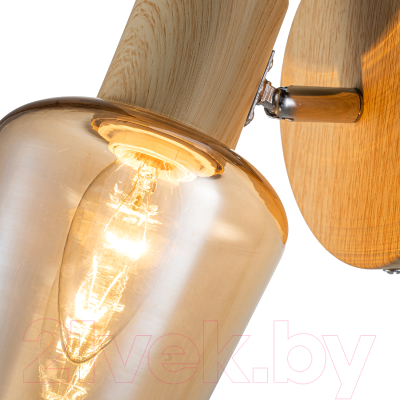 Спот ESCADA Wood 691/1A