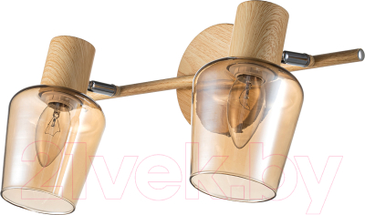 Спот ESCADA Wood 691/2A - фото