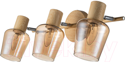 Спот ESCADA Wood 691/3P