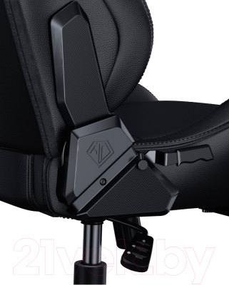 Кресло геймерское AndaSeat Kaiser Frontier / AD12Y-12-B-PV