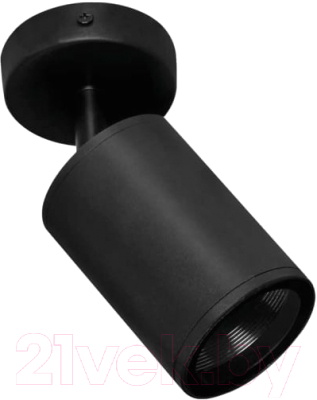 Светильник уличный INhome НБУ SPOT-CB / 4690612049090 - фото