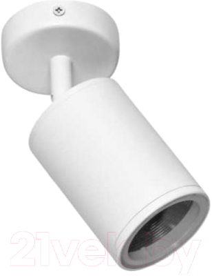 Светильник уличный INhome НБУ SPOT-CW / 4690612049106 - фото