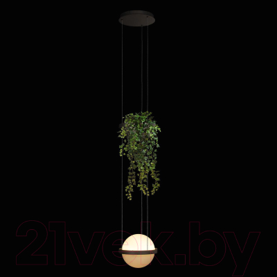 Потолочный светильник Loftit Jardin 10121/1P