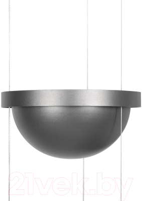 Потолочный светильник Loftit Jardin 10121/1P