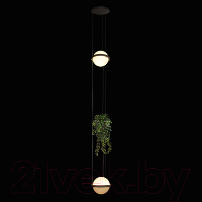 Потолочный светильник Loftit Jardin 10121/2P